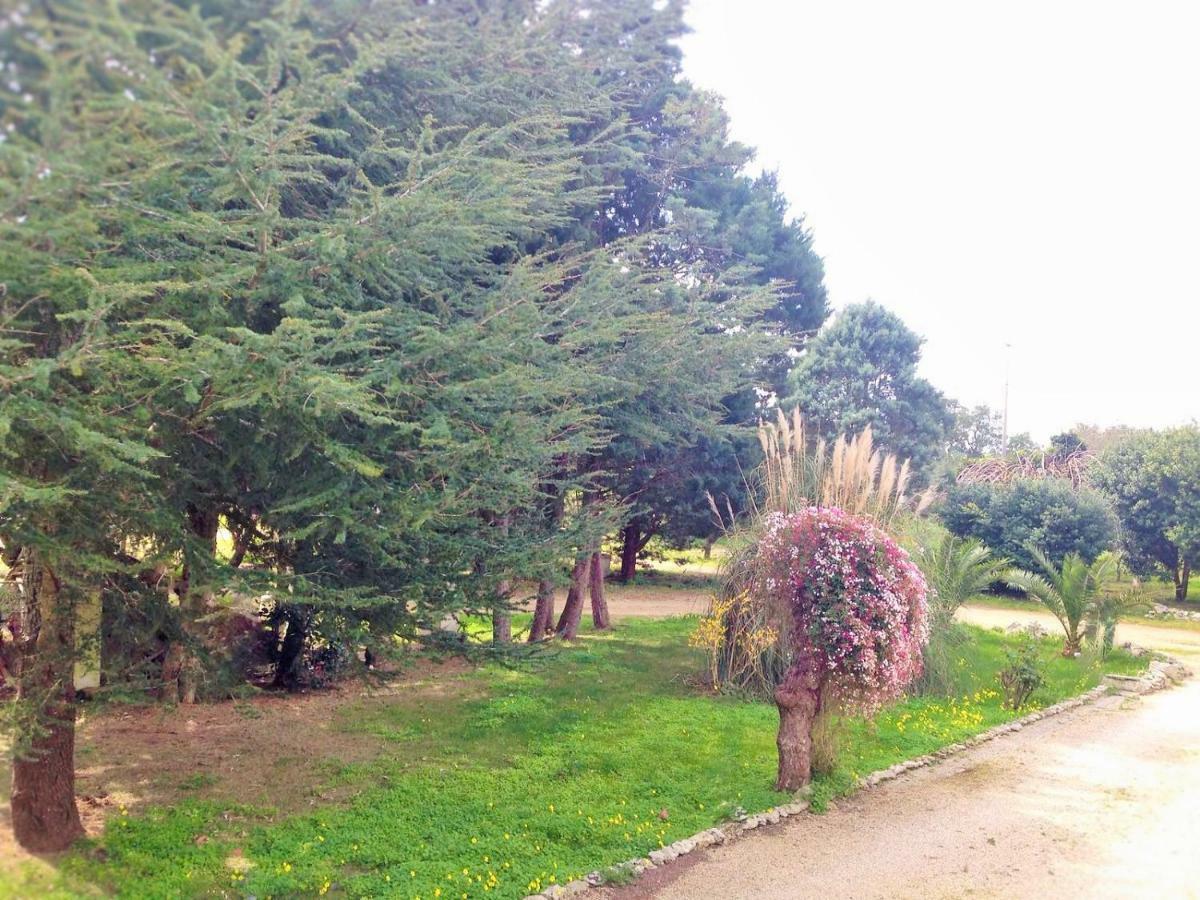 La Macchia Bed & Breakfast Melendugno Dış mekan fotoğraf